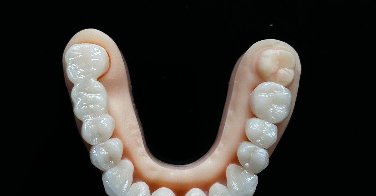 Clinic receptionist using a tablet for patient appointment management and scheduling in a modern waiting room.