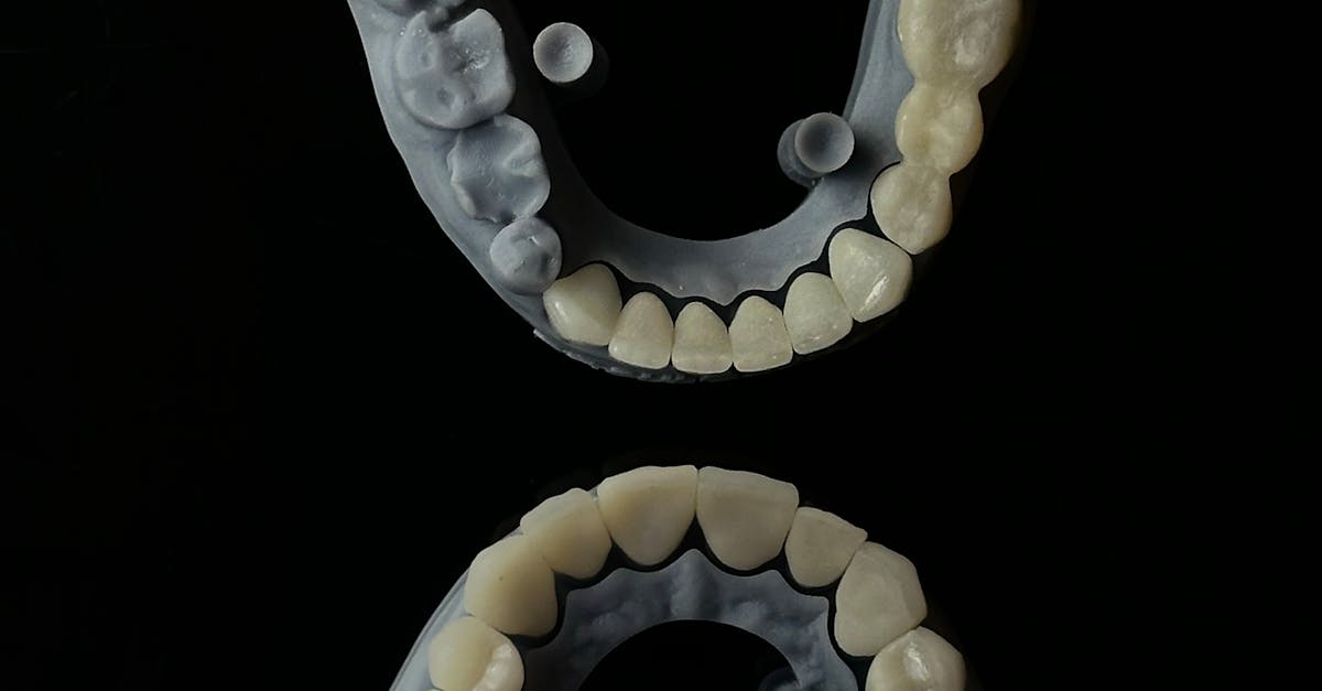 A healthcare professional using a laptop to manage clinic appointments and billing, illustrating efficiency.